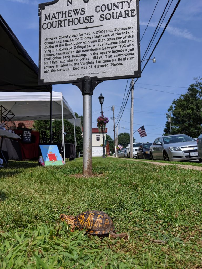 harvey explores mathews courthouse