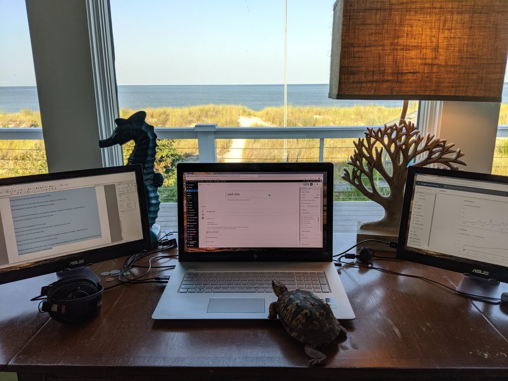 harvey the turtle posting his blog